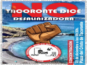 Cartel Manifestación1