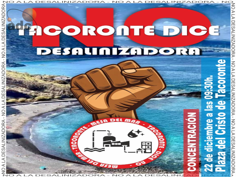 Cartel Manifestación1