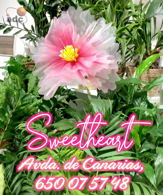 SWEET HEART FLORES