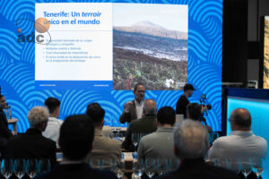 Madrid Fusion vinos Tenerife POrtada